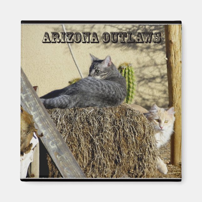 Arizona Outlaws Magnet (Front)