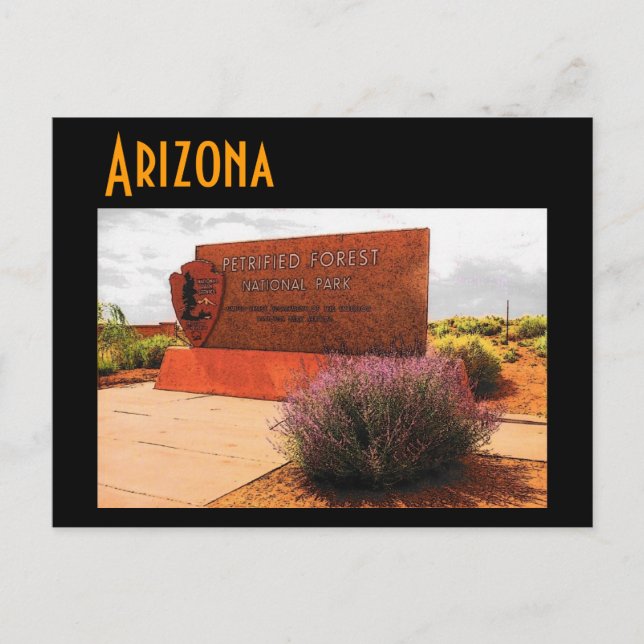Arizona (Petrified Forest) Postcard (Front)