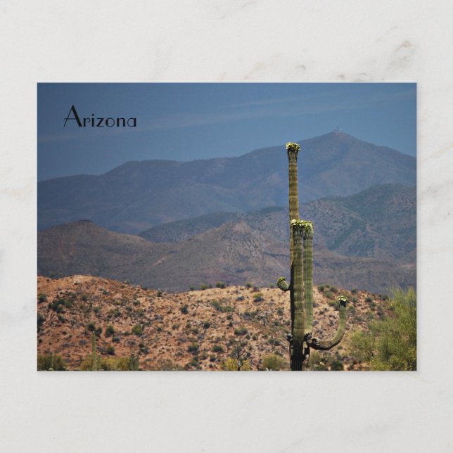Arizona Postcard (Front)