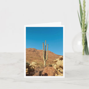 Arizona Postcard 1