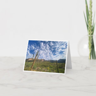 Arizona Postcard 10