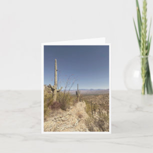 Arizona Postcard 3
