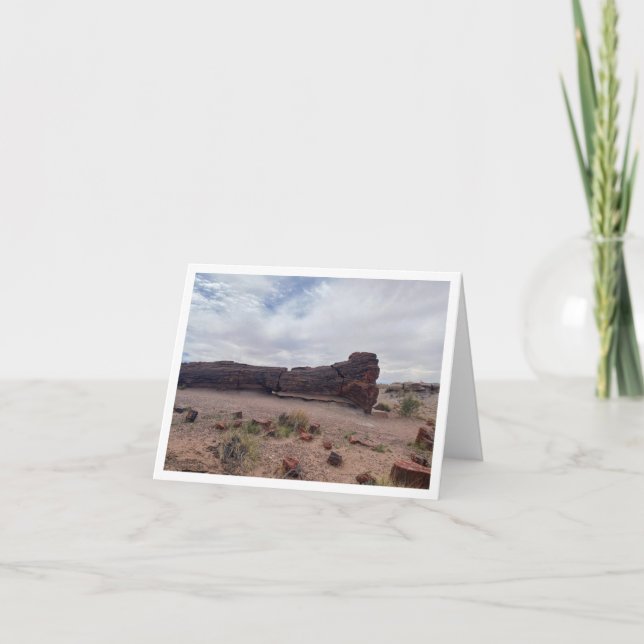 Arizona Postcard 6 (Front)