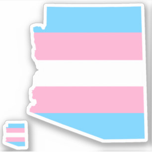 arizona pride striped transgender flag