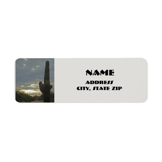 Arizona Saguaro Cactus Desert Plant Southwest (Front)