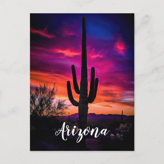 Arizona Saguaro Cactus Southwestern Desert Sunset Postcard (Front)