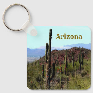 Arizona saguaro mountain landscape  key ring