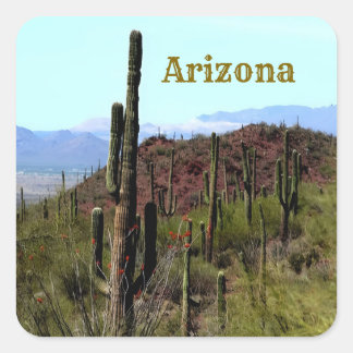 Arizona saguaro mountain landscape  square sticker