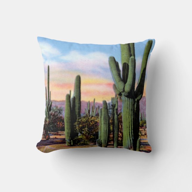 Arizona Sonoran Desert Scene Cushion (Front)