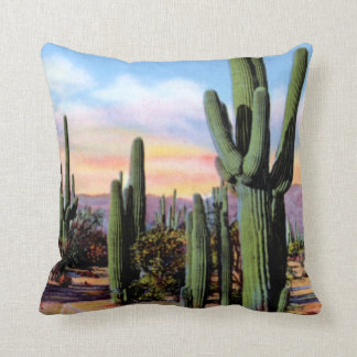 Arizona Sonoran Desert Scene Cushion