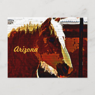 Arizona, Sorrel Horse In Profile Postcard