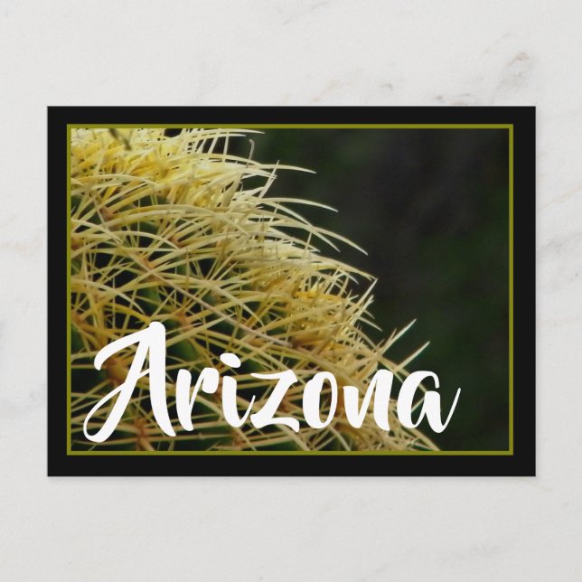 Arizona spikes postcard (Front)