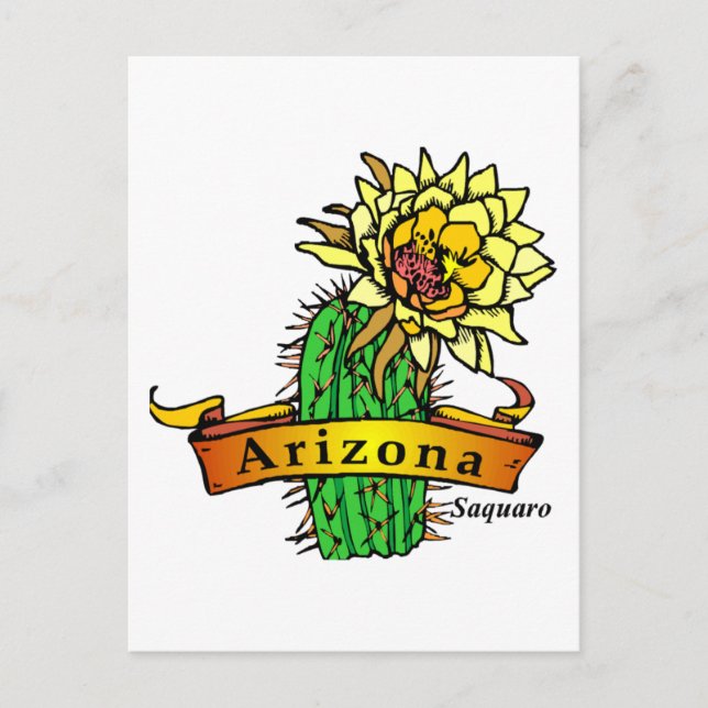 Arizona State Flower - Saguaro Postcard (Front)