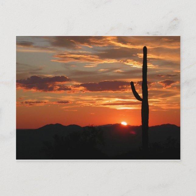 Arizona Sunset--Breathtaking Postcard (Front)