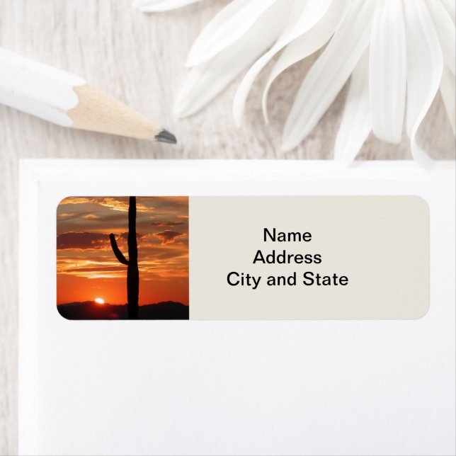 Arizona sunset, cactus, (Insitu)