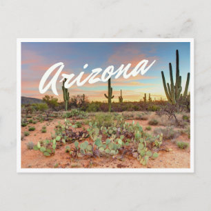 Arizona Sunset Cactus Photo Postcard