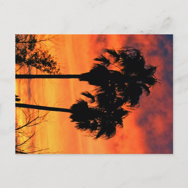 Arizona Sunset Postcard (Front)