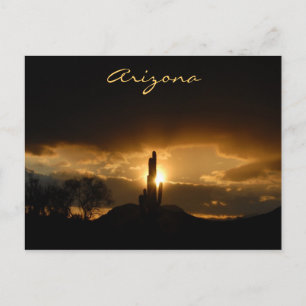 Arizona Sunset Postcard