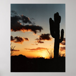 Arizona Sunset Poster