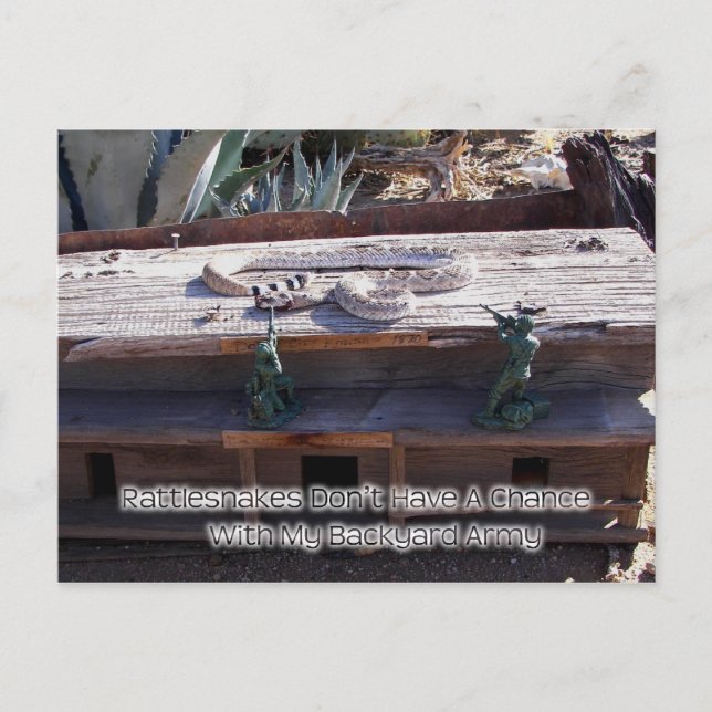 Arizona Western Diamondback Rattlesnake Postcard (Front)