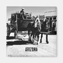 Arizona western horse carriage