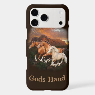 Arizona Wild horses