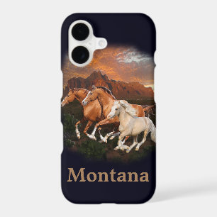 Arizona Wild horses
