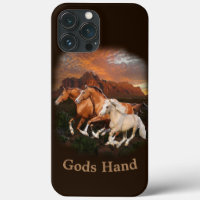 Arizona Wild horses