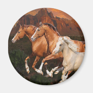 Arizona Wild horses Magnet
