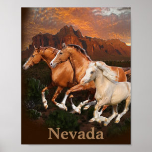 Arizona Wild horses Poster