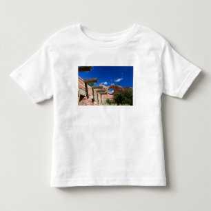 Arizona, Window Rock. Capital of the Navajo Toddler T-Shirt