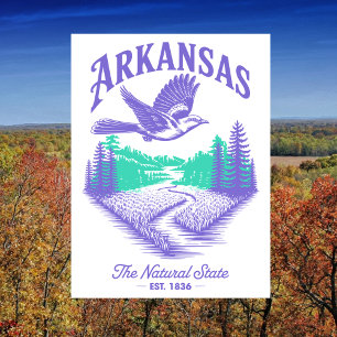 Arkansas The Natural State Est. 1836 Travel Postcard