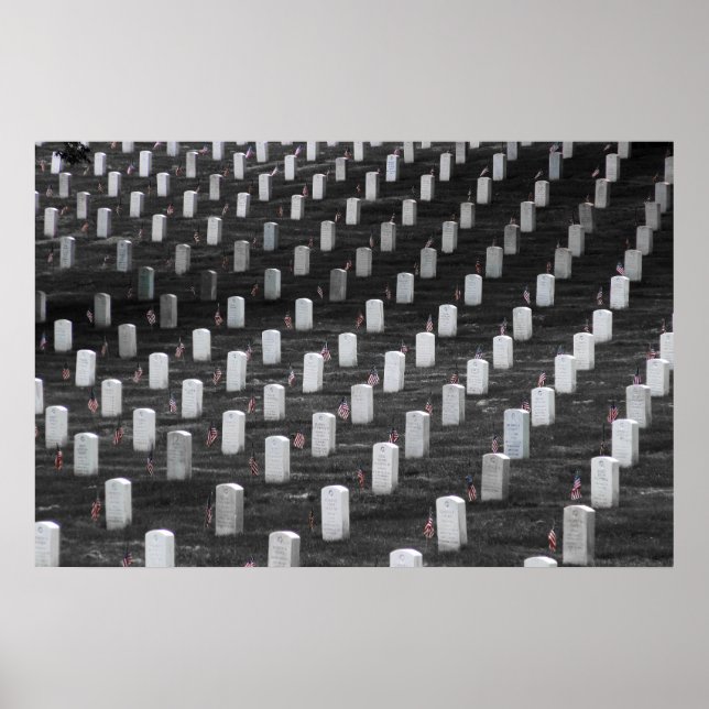 Arlington B&W Colour Flags Poster (Front)