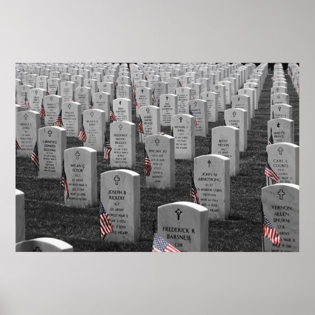 Arlington B&W Flags Colour Poster (Front)