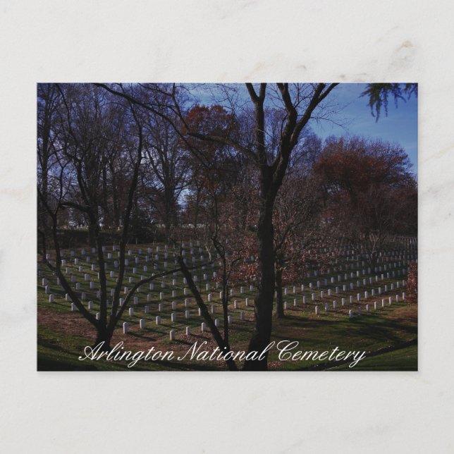 Arlington National Cemetery Postcard (Front)