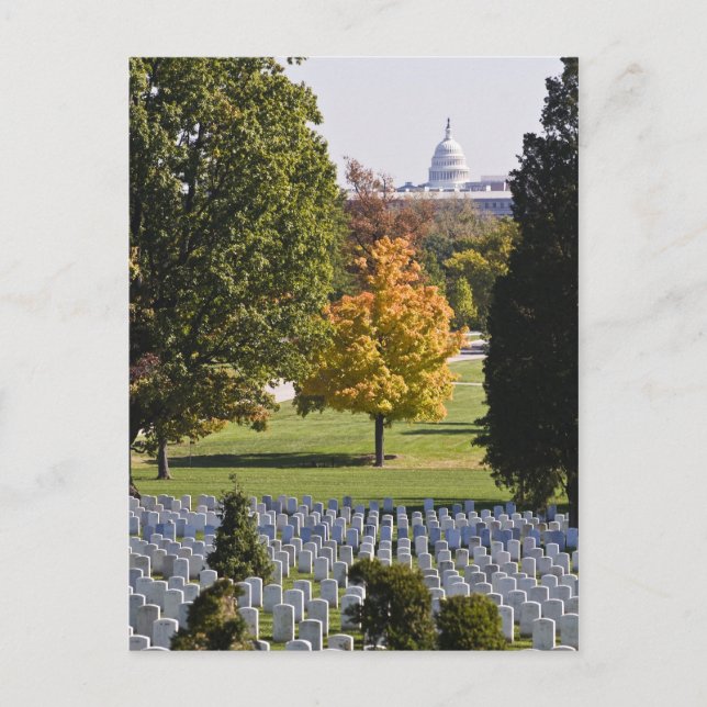 Arlington National Cemetery Postcard (Front)