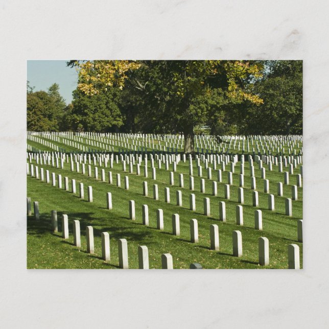 Arlington National Cemetery Postcard (Front)