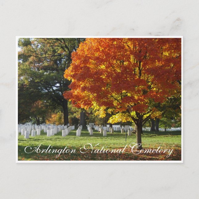 Arlington National Cemetery Postcard (Front)