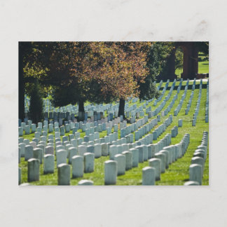Arlington National Cemetery Postcard