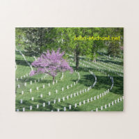 Arlington National Cemetery Section 34 Springtime