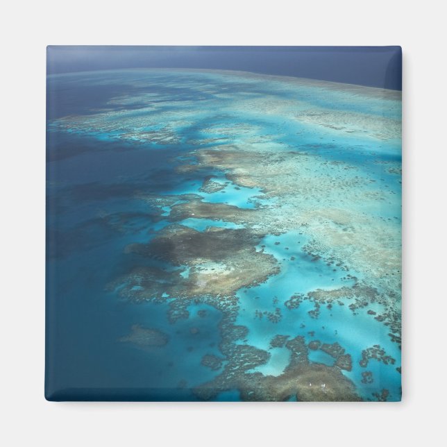 Arlington Reef, Great Barrier Reef Marine Park, Magnet (Front)