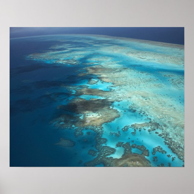 Arlington Reef, Great Barrier Reef Marine Park, Poster (Front)