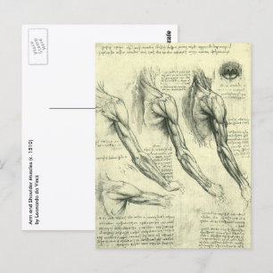 Arm and Shoulder Anatomy by Leonardo da Vinci Postcard