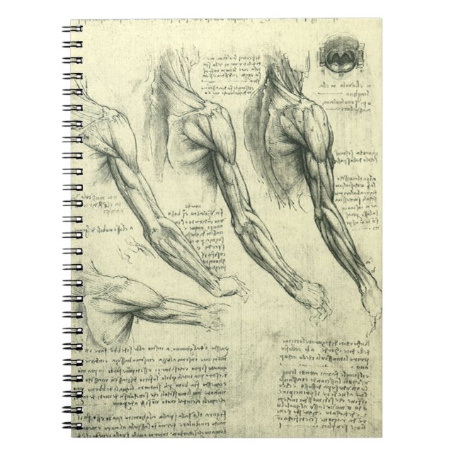 Arm and Shoulder Anatomy by Leonardo da Vinci Spiral Notebook (Front)
