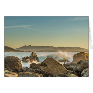 Armação Beach