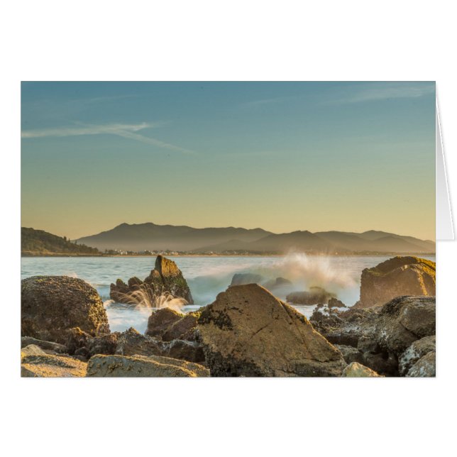 Armação Beach (Front Horizontal)