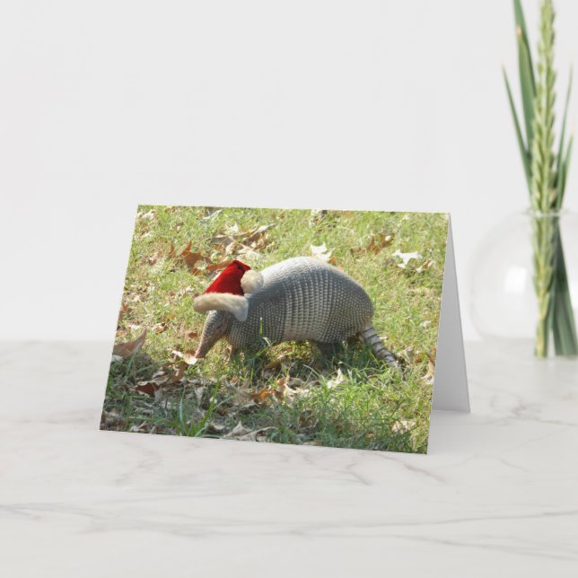 Armadillo Christmas card (Front)