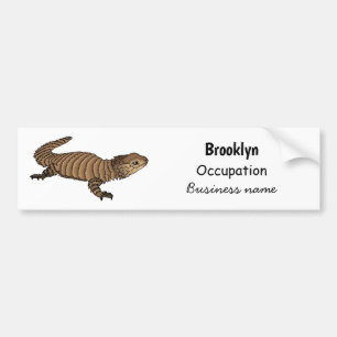 Armadillo girdled lizard cartoon illustration bumper sticker