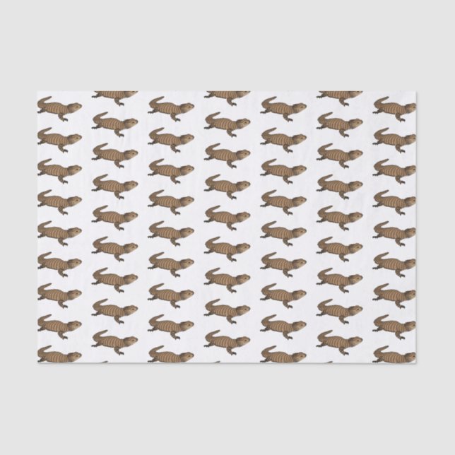 Armadillo girdled lizard cartoon illustration  tissue paper (Front)