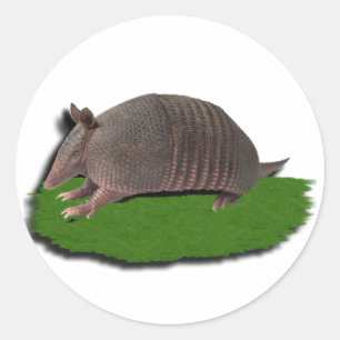 Armadillo grass classic round sticker